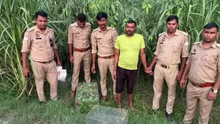 स्वार: नरपत नगर में वन रक्षक गौरव चौधरी की टीम ने बरामद किए 114 दुर्लभ तोते, 3 सगे भाइयों के खिलाफ दर्ज कराया अभियोग
