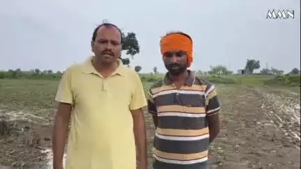 वर्धा: बियाणे उगवले नसल्याने सावलीतील शेतकऱ्यावर आली दुबार पेरणीची वेळ:बन्सल सिड्सवर कारवाई करण्याची कृषी अधिकाऱ्यांकडे मागणी