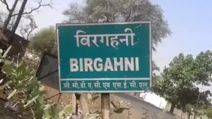 जांजगीर: बिरगहनी गांव के पास बाइक सवार दो लोग मवेशी से टकराए, हादसे में दोनों को आई चोट, अस्पताल ले जाया गया