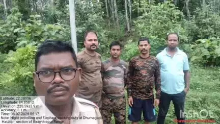 ବୀରମିତ୍ରପୁର: ରାଉରକେଲା ବନଖଣ୍ଡର ପାନପୋଷ,ରାଜଗାଙ୍ଗପୁର ,ବାଙ୍କୀ,ବୀରମିତ୍ରପୁର ରେଞ୍ଜରେ ହାତୀମାନଙ୍କର ଉପସ୍ଥିତି ନେଇ ବନବିଭାଗର ସୂଚନା।