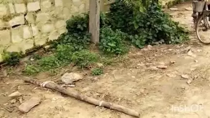 बाड़ी: जलदाय विभाग परिसर से पाइप व अन्य सामान चोरी, चोरी हुए सामान की कीमत करीब ₹15 लाख बताई जा रही है