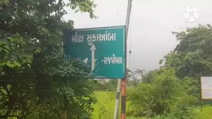ડેડીયાપાડા: મોટા સુકાં આંબા ગામે પત્ની સાથે અવાર નવાર ઝગડો કરતા પતિનું ખૂન, બે યુવકોએ કુહાડીના ઘા ઝીંકીને કરપીણ હત્યા કરી