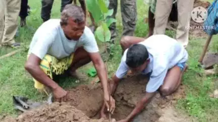 আড়শা: কলাবনি মৌজা সংলগ্ন বনভূমিতে বৃক্ষরোপণ কর্মসূচি