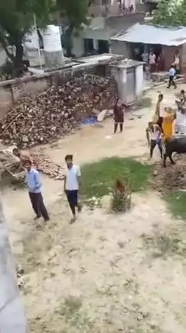 मिश्रिख: अटरिया में विवाद के चलते दो पक्षों के बीच जमकर मारपीट, पत्थरबाजी का वीडियो सोशल मीडिया पर हुआ वायरल