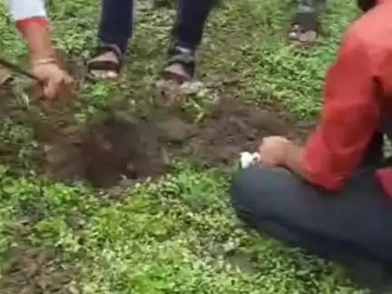 पचोर: मुक्तिधाम परिसर में 'एक पेड़ मां के नाम' अभियान के तहत वृक्षारोपण