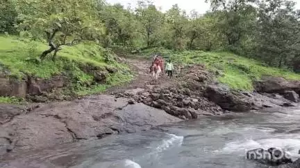 नाशिक: खैरेवाडीतील महिलेला दवाखान्यात झोळीतून नेताना जीवन-मरणाचा संघर्ष; रस्ता व पुलांच्या अभावामुळे माणुसकीची कसोटी