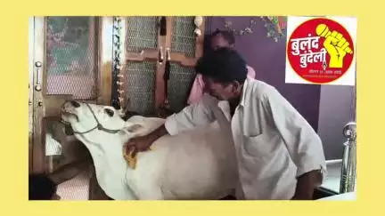 हमारी लच्छौ महारानी देखो कैसे सेवा करवातीं हैं।।
