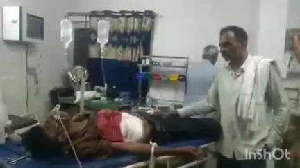 औरैया: डीएम के निर्देशों की धज्जियां उड़ाते हुए आवारा गोवंश ने दिबियापुर रोड पर युवक को मारी सीग