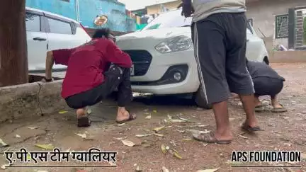 इस डॉग बच्चे का किसी ने पैर तोड़ दिया

Respect Girls help poor help animals 

#apsgurjar #help #viral #support #gwalior
