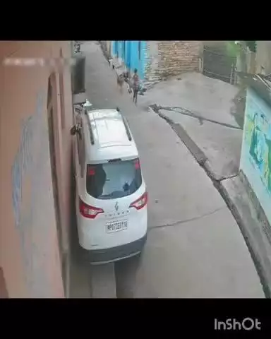 रन्नौद: वार्ड 04 में कुत्ते का आतंक, तीन मासूम बच्चों को किया घायल, हमला सीसीटीवी में कैद