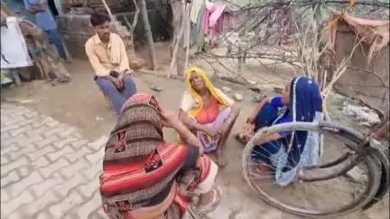 महावन: गांव सलेमपुर में चोरों ने चरवाहा की 6 भेड़-बकरियां चुरा लीं