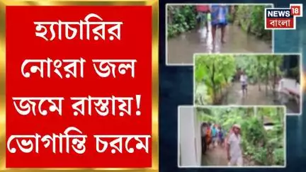 Jagaddal News : হ্যাচারির নোংরা জল জমে রাস্তায়! ভোগান্তি চরমে জগদ্দলের বাসিন্দাদের। Bangla News