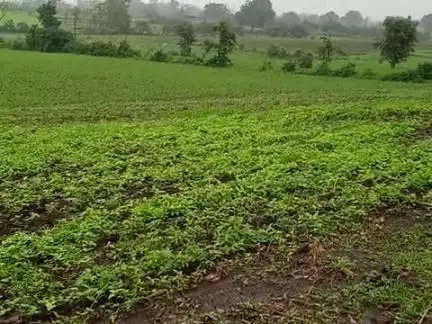 kundali gaav ka barish #public #barsaat #pandhurna