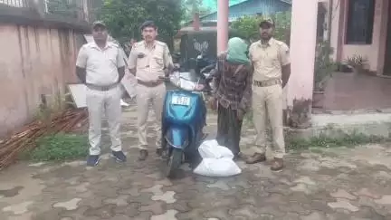 ଭଦ୍ରକ ଗ୍ରାମାଞ୍ଚଳ: ଭଦ୍ରକ ଅବକାରୀ ଥାନା ପକ୍ଷରୁ ବିପୁଳ ପରିମାଣର ଗଂଜେଇ ଜବତ