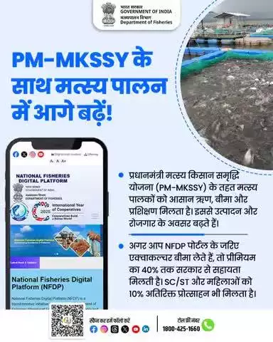 मत्स्य पालन को नई ऊँचाइयों पर ले जाएं!
प्रधानमंत्री मत्स्य किसान समृद्धि सह योजना  के साथ मत्स्य पालन बनाएं और भी लाभकारी। 
आसान ऋण, बीमा और प्रशिक्षण का लाभ उठाएं। अधिक जानकारी के लिए अभी विज़िट करें: nfdp.dof.gov.in