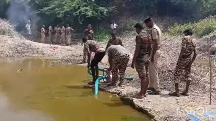 மேட்டுப்பாளையம்: பட்டக்காரனூர் கிராமத்தில் மழை நீர் தடுப்பணையில் உள்ள முதலையை பிடிக்க வனத்துறையினர் தீவிரம்