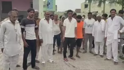 पानीपत: पानीपत में जहर मिलाकर चावल खिलाने से 10 कुत्तों की मौत, ग्रामीणों में गुस्सा, आरोपी के खिलाफ मामला दर्ज