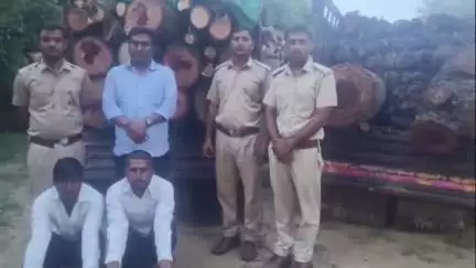 झुंझुनू: वन विभाग ने इंडाली बाईपास पर अवैध लकड़ी से भरी पिकअप जब्त कर 2 तस्करों को किया गिरफ्तार