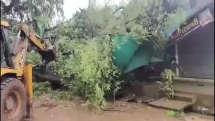 बहोरीबंद: कुंआ गांव में विशाल इमली का पेड़ गिरने से चार लोग घायल, अस्पताल में भर्ती, प्रशासन द्वारा बचाव कार्य जारी