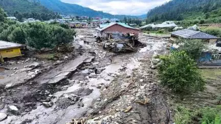हिमाचल में आपदा के बीच बेज़ुबान के लिए मसीहा बने लोग, कुछ इस तरह किया रेस्क्यू; देखिए वीडियो