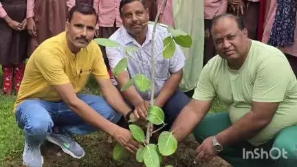 मोहम्मदी: कंपोजिट विद्यालय सुखबसा में वृहद वृक्षारोपण, प्रधान और शिक्षकों के साथ बच्चों ने बढ़-चढ़ कर लिया हिस्सा