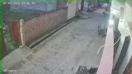 कसिया: कसया में 5 वर्षीय मासूम को कुत्तों ने बनाया शिकार, गंभीर स्थिति में चल रहा इलाज