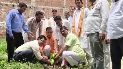 घोसी: एक पेड़ मां के नाम अभियान के तहत जिला सहकारी बैंक घोसी में पौधरोपण महाअभियान का आयोजन