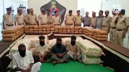 నక్కపల్లి మండలం వెదుళ్ళ పాలెం జంక్షన్ వద్ద 840 కేజీల గంజాయి స్వాధీనం చేసుకున్న పోలీసులు