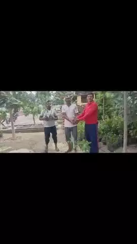 राजातालाब: एक पेड़ मां के नाम कार्यक्रम के तहत बृहद पौधरोपण किया गया