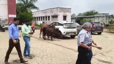 प्रतापगढ़: प्रतापगढ़ में जिला अस्पताल की व्यवस्थाओं की जांच के लिए दिल्ली-जयपुर से विशेष टीम के अधिकारी पहुंचे