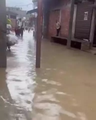 कालपी: उदनपुरा नई बस्ती इलाके में 1 घंटे की बारिश ने नगर पालिका की व्यवस्थाओं की पोल खोली, घरों में घुसा पानी, वीडियो आया सामने