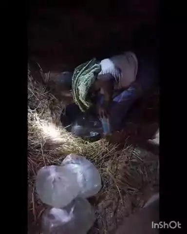 अकबरपुर: सनोखरा गांव से गुप्त सूचना के आधार पर 350 लीटर महुआ शराब के साथ कारोबारी को किया गया गिरफ्तार