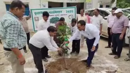 कोरांव: प्रमुख सचिव सहकारिता व सीडीओ प्रयागराज ने बसहरा में वन विभाग और कोरांव में सहकारिता विभाग की ओर से किया पौधारोपण