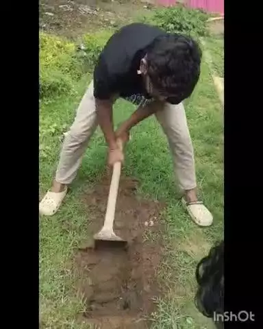 अकबरपुर: अखिल भारतीय विद्यार्थी परिषद के स्थापना दिवस पर अकबरपुर नगर इकाई में किया गया वृक्षारोपण