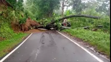 গণ্ডাছড়া: টানা বৃষ্টিতে ধস-গাছ পড়ে বন্ধ গন্ডাছড়া-অমরপুর সড়ক, দুর্ভোগে যাত্রীরা