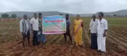 మార్కాపురం: మార్కాపురం మండలంలోని పలు ఏవో బుజ్జి భాయి ఆధ్వర్యంలో పొలం పిలుస్తుంది కార్యక్రమం
