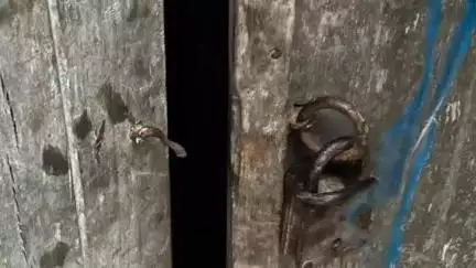 সাব্রুম: সীমান্তে কঠের নিরাপত্তার মধ্যেও তারকাঁটা কেটে দাসপাড়া থেকে চারটি গরু চুরি,এলকায় ক্ষোভ