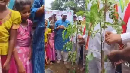 సిర్పూర్ టి: వనం మహోత్సవంలో భాగంగా కౌటాల జిల్లా పరిషత్ సెకండరీ పాఠశాలలో విద్యార్థులతో కలిసి మొక్కలు నాటిన ఎమ్మెల్యే పాల్వాయి