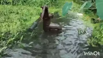 ডোমজুড়: ডোমজুড়ে মাকড়দহ পূর্বান্নপাড়া দীর্ঘদিন ধরে জমা জলের সমস্যা বাসিন্দাদের#jansamaya