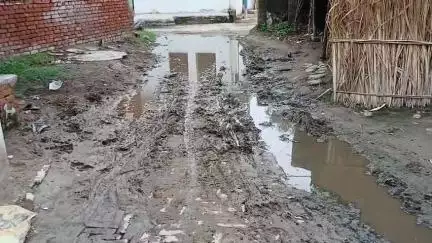 Saida purgaon blok full बहेड़ Main nahin hua roado ka vikas Ram kishan patrakar9219801450