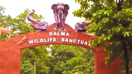 CHANDIL : दलमा ईको सेंसेटिव के नाम पर विस्थापन की साजिश :ग्रामीण #chandilnews  #dalmaecosensetive #jharkhand #Dalmahill