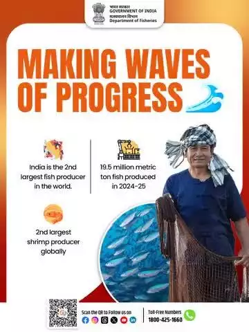 India’s Fisheries Sector: Making Waves of Progress! 
2nd largest fish producer in the world
2nd largest shrimp producer globally
19.5 million metric tons of fish produced in 2024–25