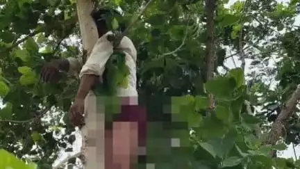 నారాయణ్​ఖేడ్: కిషన్ నాయక్ తండాలో పైల్స్ వ్యాధితో బాధపడుతూ చెట్టుకు ఉరివేసుకుని వ్యక్తి ఆత్మహత్య