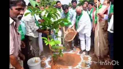 వికారాబాద్: వనమహోత్సవ కార్యక్రమాన్ని విజయవంతం చేయాలి : చేవెళ్ల ఎమ్మెల్యే కాలే యాదయ్య