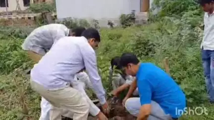 कुलपहाड़: जैतपुर के राजकीय इंटर कॉलेज में ब्लॉक प्रमुख ने बच्चों के साथ मिलकर किया पौधारोपण