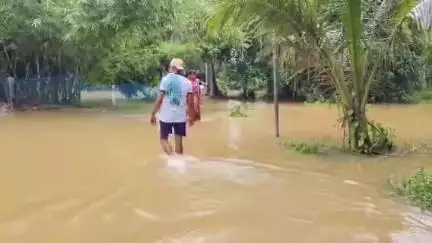 ଭୋଗରାଇ: ସୁବର୍ଣ୍ଣରେଖା ନଦୀରେ ପୁଣି ବନ୍ୟା ଭୋଗରାଇ ରେ ବିଭିନ୍ନ ଗାଁ ରେ ପଶିଲା ବନ୍ୟା ପାଣି  ।