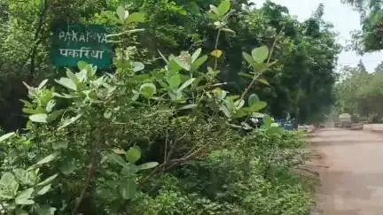 मस्तुरी: नहर में तैरते मिले अज्ञात व्यक्ति की लाश, मौके पर जुटी लोगों की भीड़, जांच में जुटी पुलिस