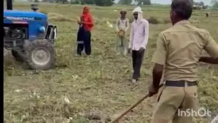 पलवल: पलवल के खजूरका गांव में निकला अजगर