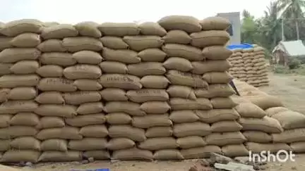 அரியலூர்: மண்டலத்தில் 08 கிராமங்களில் அரசு நேரடி நெல் கொள்முதல் நிலையங்கள் திறப்பு- ஆட்சியர் அறிவிப்பு