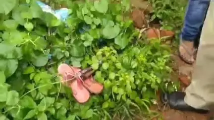 বারাবনী: নিখোঁজ নাবালিকার মৃতদেহ উদ্ধার ঘিরে চাঞ্চল্য ছড়াল নিয়ামতপুর ফাঁড়িতে এবং নিয়ামতপুর লাইন পার এলাকায়